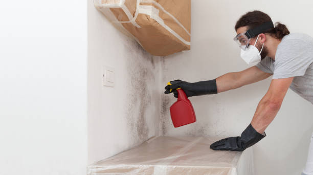 Professional Mold Removal technician working in Martinsville, NJ