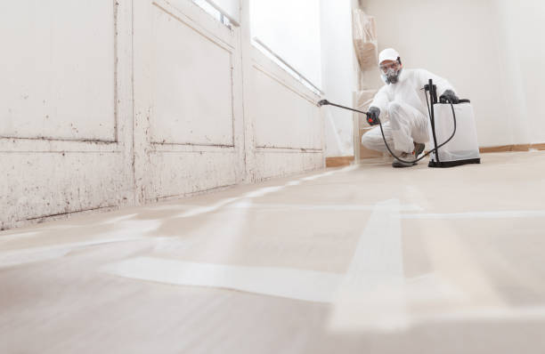 24/7 Emergency Mold Removal experts in Martinsville, NJ