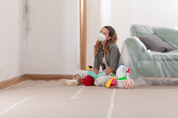 Reliable Mold Remediation contractor in Martinsville, NJ by Cheap Mold Removal